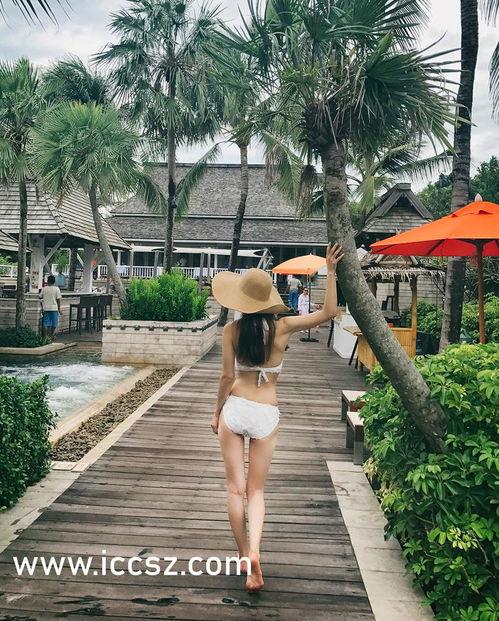 暗黑爆料入口2024最新版